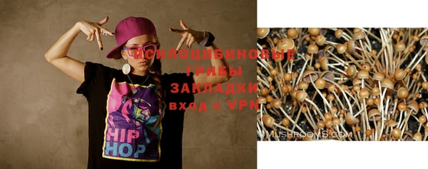 кокс Абаза