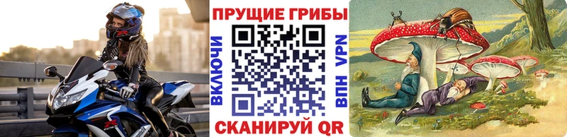 дарнет шоп  блэк спрут ONION  Псилоцибиновые грибы Cubensis  Лодейное Поле 